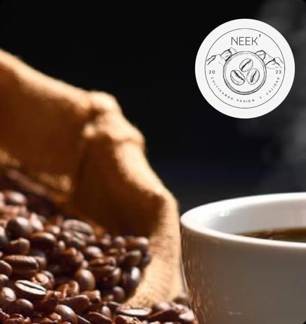 Imagen decorativa de login