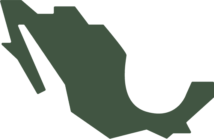 Mapa de México con regiones cafetaleras interactivas: Puebla, Oaxaca, Veracruz y Chiapas.